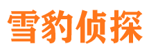 眉县婚外情调查取证